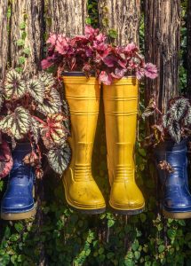 Recycled wellies as plant pots