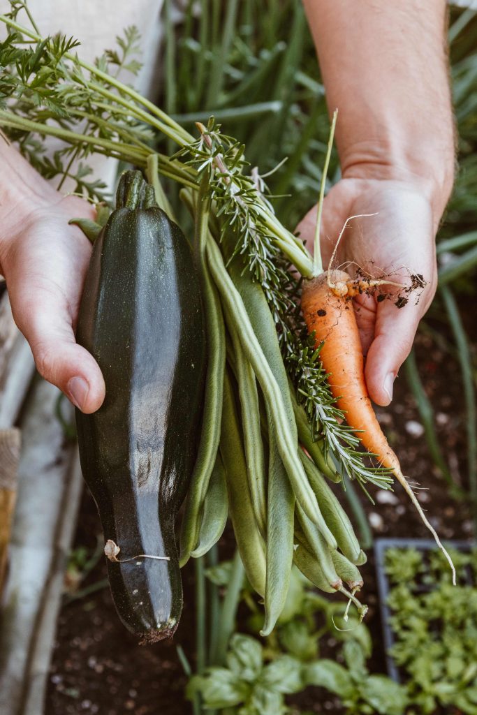 runner beans, a carrot and a courgette being held