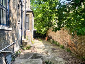 a brick backyard with a large tree