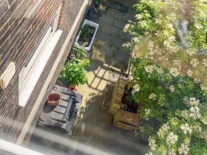 a garden photographed from above