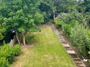 a long green garden with grass, trees and a path along the right