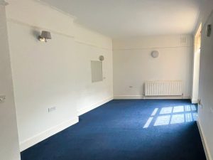 a room with white walls and blue carpet